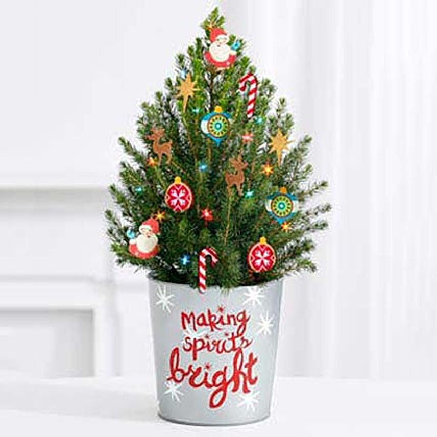 Bright Decorated Special Christmas Tree