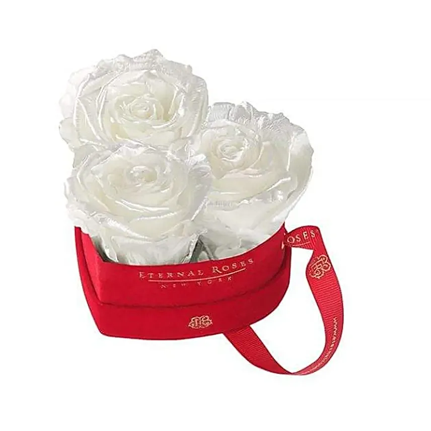 Mini Chelsea Preserved Roses Gift Box