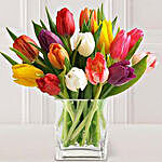 15 Stem Mixed Tulips