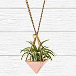 Blush Airplant Necklace