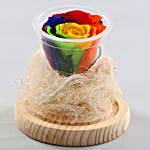 Mystic Forever Rainbow Rose In Glass Dome