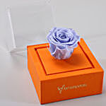 Lavender Blue Forever Rose In Orange Box