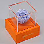 Lavender Blue Forever Rose In Orange Box